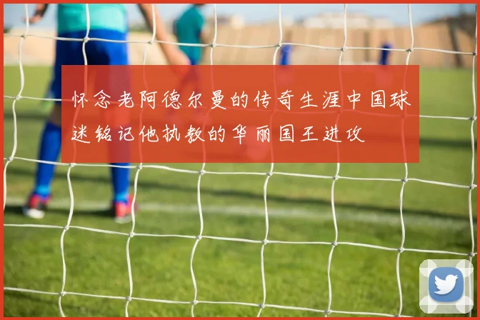 怀念老阿德尔曼的传奇生涯中国球迷铭记他执教的华丽国王进攻