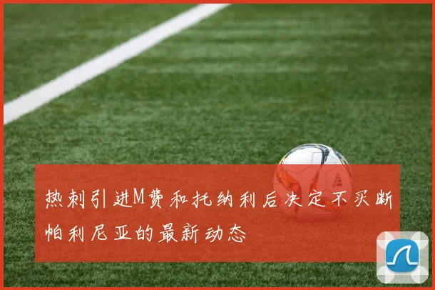 热刺引进M费和托纳利后决定不买断帕利尼亚的最新动态
