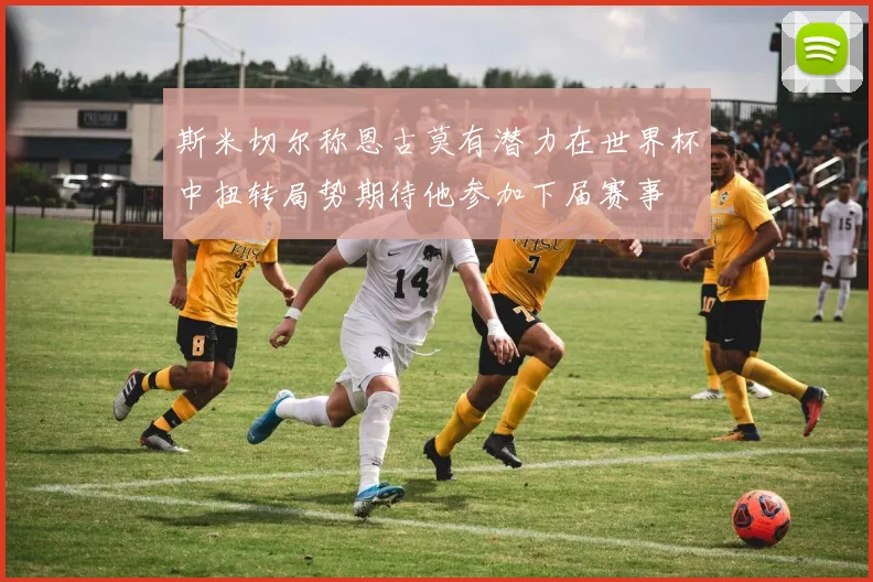 斯米切尔称恩古莫有潜力在世界杯中扭转局势期待他参加下届赛事