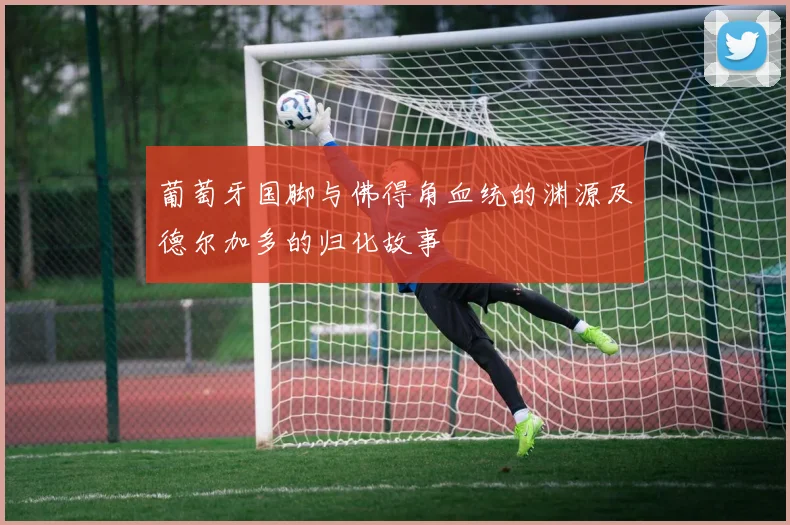 葡萄牙国脚与佛得角血统的渊源及德尔加多的归化故事